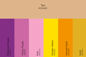 tan color its meaning codes and top