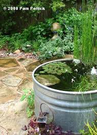 Container Pond In A Stock Tank