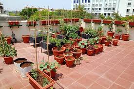My Dream Garden For Garden Set Ups
