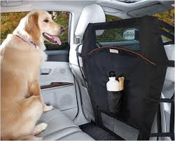 Pin On Dog Car Safety