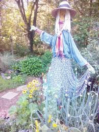 ms pickles silly garden scarecrows