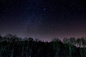 starry sky trees night hd wallpaper