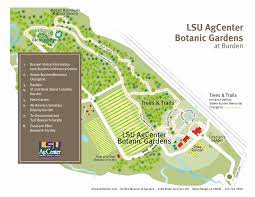 lsu agcenter botanic gardens