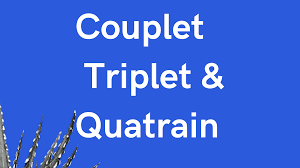 definition of couplet triplet and