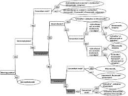 evidence based decision tree for the
