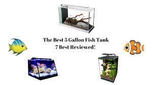 the best 5 gallon fish tanks of 2024