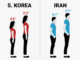 The average height for dutch men is 1.86cm. Human Height Changes Over The Last 100 Years In Different Countries