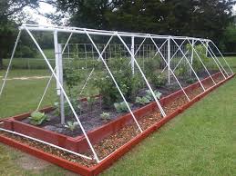 Finished Pvc Frame With Bird Netting