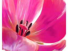 Bildergebnis für Tulpen