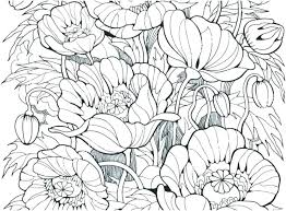 Flower Coloring Pages Free Poppy Flower Coloring Pages Poppy Outline