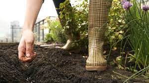 how to build the perfect soil mix