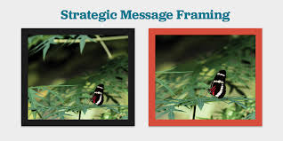 strategic message framing and reframing