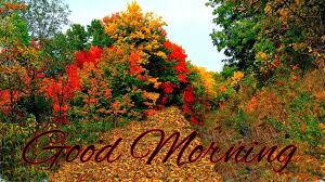 wallpapers com images hd good morning autumn fores