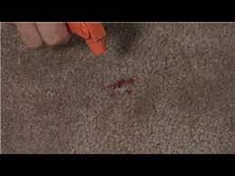 carpet cleaning removal of a kool aid