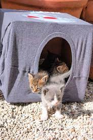 15 diy outdoor cat house plans for