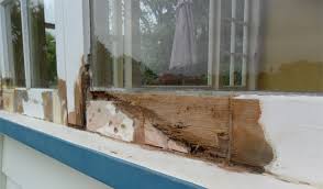 repairing rot in wooden window frames