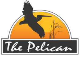 the pelican of new smyrna beach