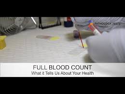 full blood count what it tells your