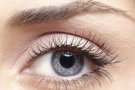 Het meest algemene blue eyes brown hair materiaal is edelsteen. Eye Makeup Colors Blue Eyes Dark Cool Skin Dark Hair Youbeauty Com
