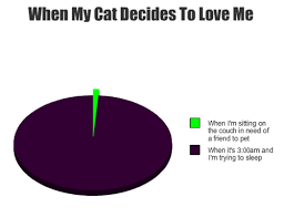Funny Pie Charts That Perfectly Explain Your Life