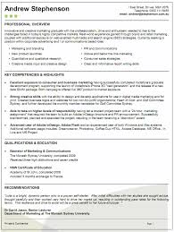 CEO Resume Example   Melbourne Resumes        Astonishing Resume Writing Jobs Examples Of Resumes    