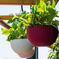 Kuvahaun tulos haulle hanging basket