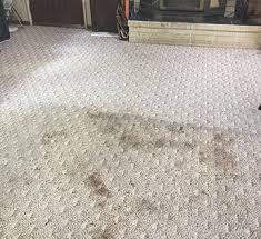 carpet cleaning services marysville wa