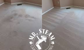gladstone carpet cleaning deals in