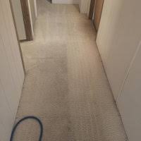 jts carpet cleaning project photos