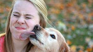 stop kissing your dog on the mouth