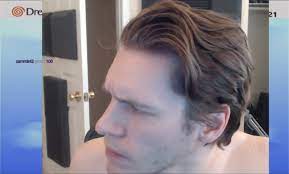 Never Forget the time when Jerma was NAKED ON STREAM : r/jerma985