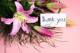 I can't wait to make you proud at college. 5 470 Thank You Flowers Photos Free Royalty Free Stock Photos From Dreamstime