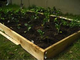 Easy Raised Garden Bed On A Budget