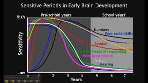 The Importance Of Early Child Development
