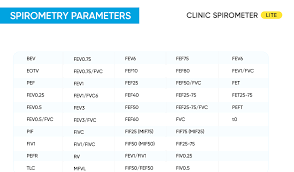 safey clinic spirometer lite smart