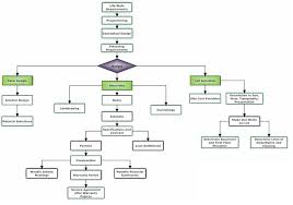 Home Building Process Flow Chart Flow Chart Of