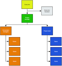 project management organization chart
