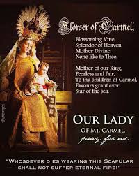 Our Lady Of Mount Carmel Pray For Us Blessed Virgin Mary
