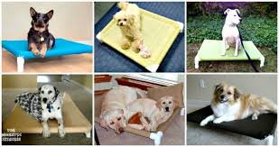 9 Diy Dog Bed Ideas Using Pvc Pipe