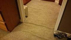 carpeting by lowes or