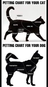 Petting Chart Cat And Dog Edition