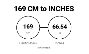 169 cm in inches