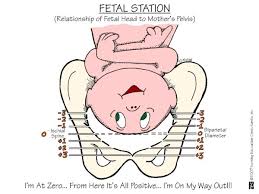 fetal station babycenter
