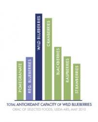 Wild Blueberry Antioxidants Health Research Wbana