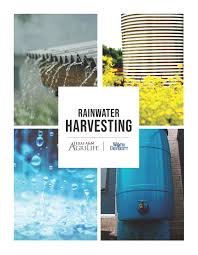 rainwater harvesting tips for beginners