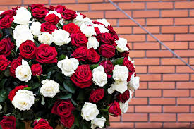 Regala mazzi di fiori consegna a domicilio. Un Mazzo Enorme Delle Rose Rosse E Bianche Fotografia Stock Immagine Di Celebri Giorno 120335632