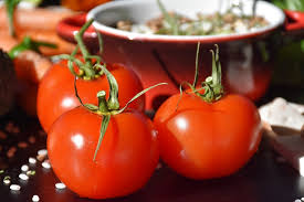 Image result for tomato pics
