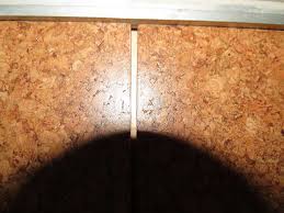 lumber liquidators lisbon cork flooring