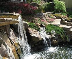 Water Gardens Make A Backyard Paradise