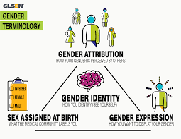 Gender Terminology | GLSEN